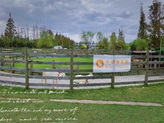 -前小桔亲子创意农场·草莓采摘·露营烧烤