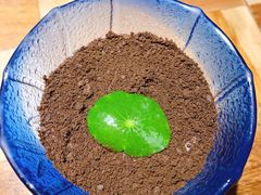 -蜜桃餐厅·伴山(绿宝广场店)