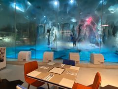 -帝企鹅自助餐厅•儿童岛•真企鹅(长隆企鹅酒店)