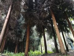 -太阳湾风景区
