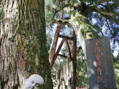 -雪峰寺