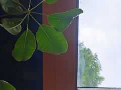 -VOYAGE COFFEE(北锣鼓巷店)