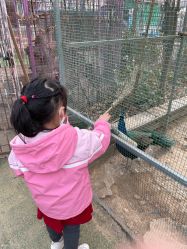 -萌宠亲子动物乐园(槐房万达店)