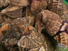 -和源祥·日照菜扛把子(万平口一店)