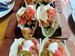 -Famous肥猫墨西哥音乐餐吧(五棵松华熙LIVE店)