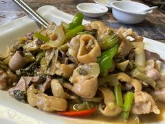 -食德喜·阳山鸡王食研基地