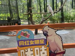 -北京野生动物园