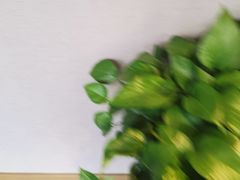 -一澜江宴·江景地标楚菜(江滩公园店)