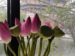 -四季民福烤鸭店(故宫店)