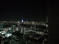 -东京都厅舍
