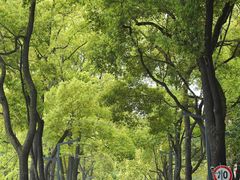 -四川大学(望江校区)
