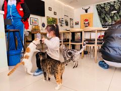 -平行世界·猫咖(首经贸店)