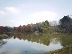 -上海海湾国家森林公园