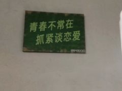 -乔街深夜食堂·台州菜·高压锅生蚝(杭州总店)