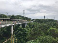-仙岳公园