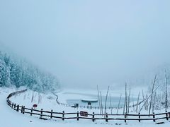 -武陵山森林公园