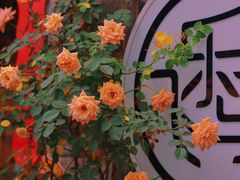 -老门东历史文化街区