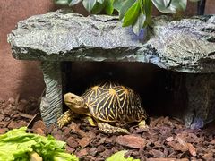 -上海海洋水族馆