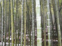 -会稽山峡洞漂流-上青古道