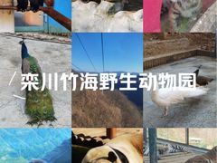 -栾川竹海野生动物园