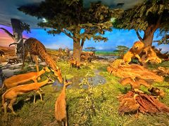 -国家自然博物馆