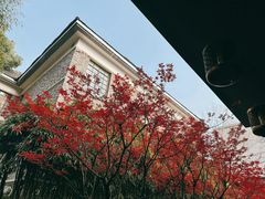 -湖滨客舍·湖北菜
