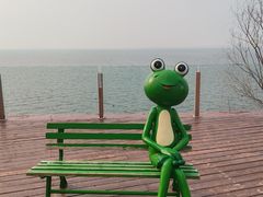 -观澜小洱海
