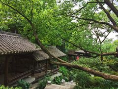 -中国茶叶博物馆(双峰馆区)