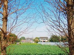-小鱼草莓采摘园农家乐·小鱼餐厅