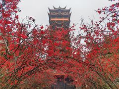 -塔子山公园