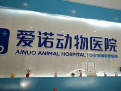 -爱诺动物医院(崂山店)