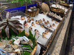-初色海鲜自助(万丰路店)