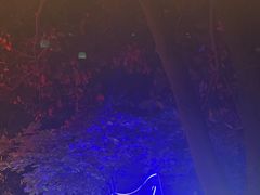 -夜猫子串吧·龙虾.江西小炒(万塘路店)