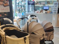 -PET WISH宠物愿望(BFC外滩金融中心店)