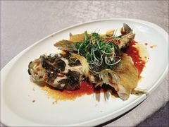 -粤凤佬
