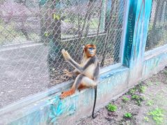 -西安秦岭野生动物园