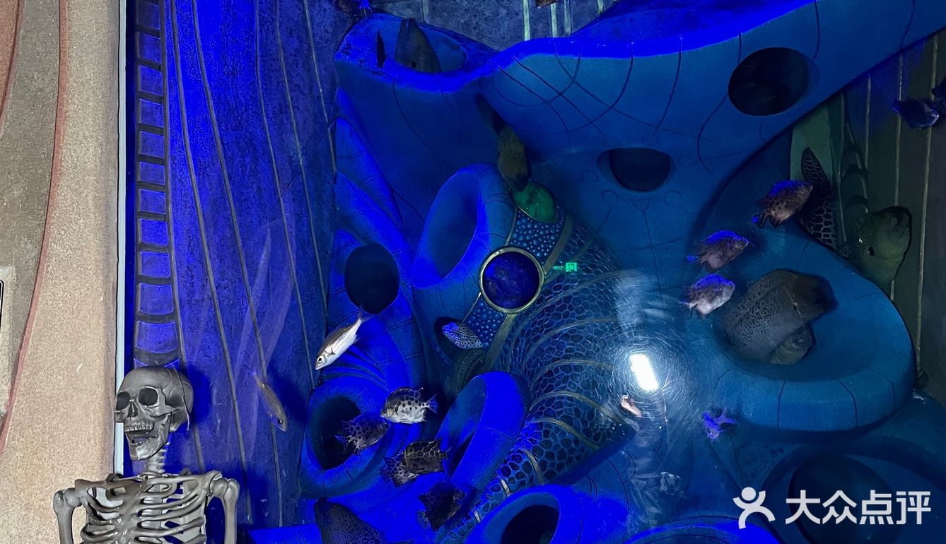 三亚沉浸式体验万圣节🎃失落的空间水族馆“深海尖叫夜