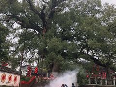 -新安江山水画廊风景区