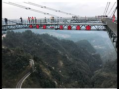 -梦幻奥陶纪景区