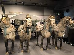 -秦始皇帝陵博物院-丽山园