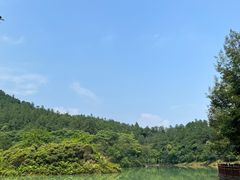 -广州白江湖森林公园