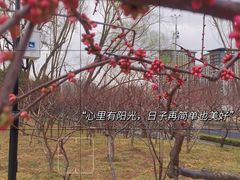 -玲珑塔公园