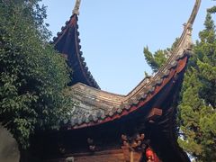 -秋霞圃