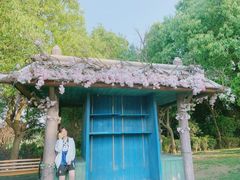 -南京银杏湖乐园