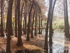 -捞渔河湿地公园