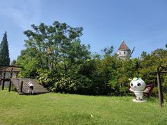 -东平国家森林公园