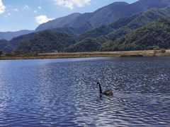 -大九湖