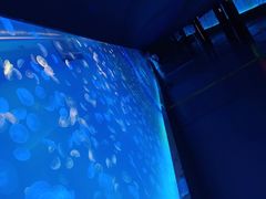 -多彩贵州城极地海洋世界