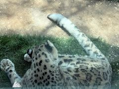 -青藏高原野生动物园