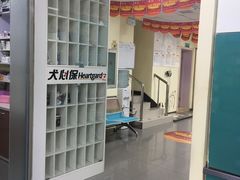 -瑞派宠物医院·24h·骨外科·皮肤科·全科宠物医疗转诊中心(沈阳浑南院)